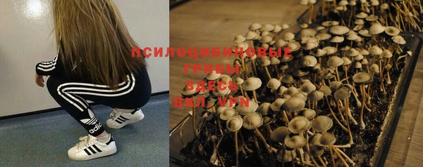 spice Волоколамск