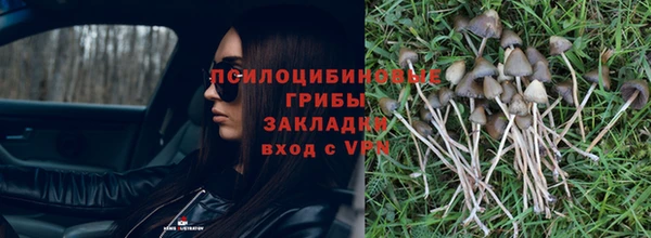 сатива Алексин