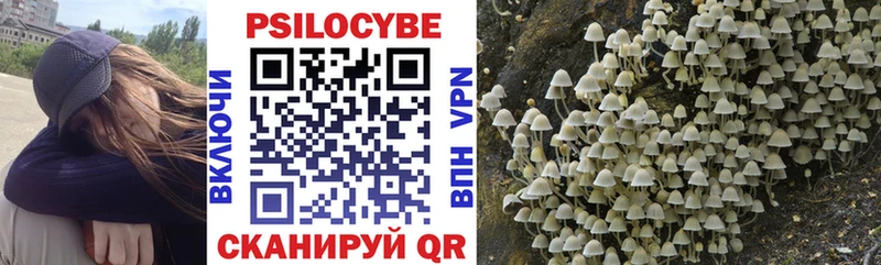 гидра как войти  цены наркотик  Арамиль  darknet Telegram  Псилоцибиновые грибы MAGIC MUSHROOMS 
